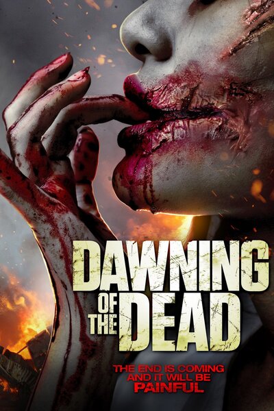 Dawning of the Dead 2017 Dub Hindi HdRip